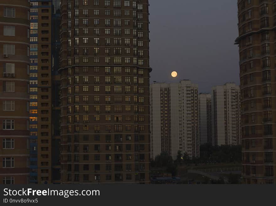 Skyscraper, Metropolitan Area, Tower Block, Building