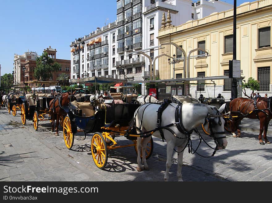 Land Vehicle, Carriage, Horse And Buggy, Vehicle