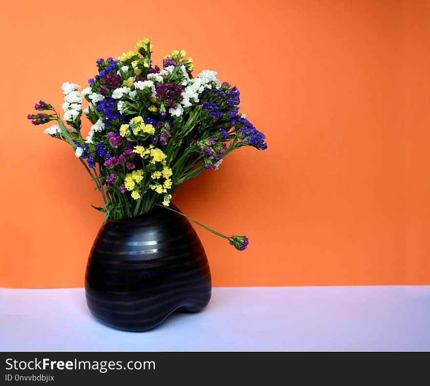 Flower, Vase, Plant, Flowerpot