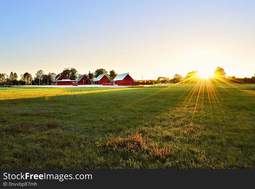 Grassland, Field, Sky, Farm