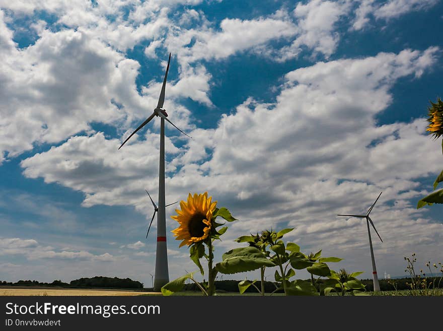 Sky, Cloud, Field, Wind Turbine