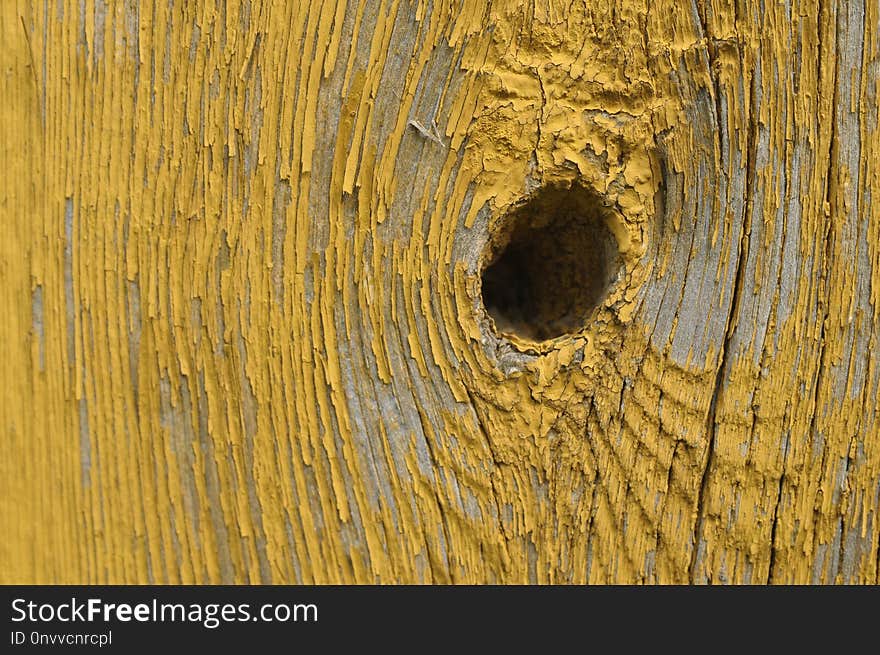 Wood, Close Up, Trunk, Formation