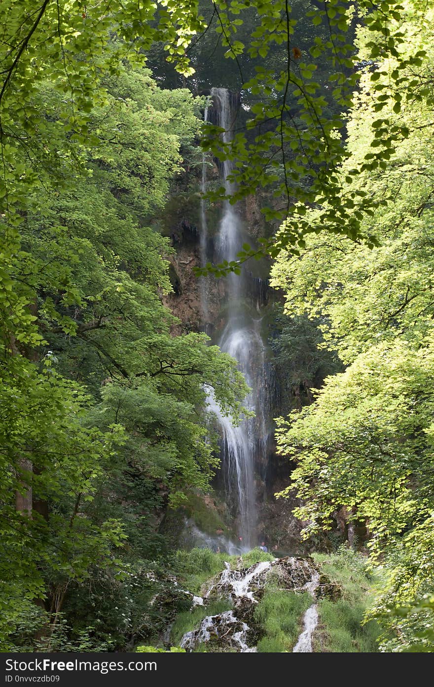 Waterfall, Water, Nature, Vegetation