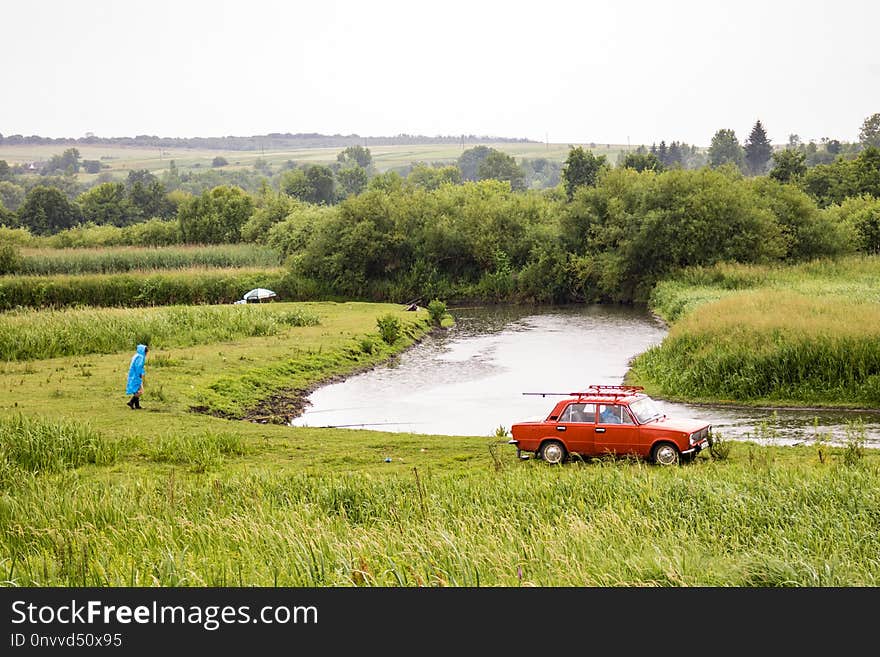 Grassland, Waterway, Nature Reserve, Wetland