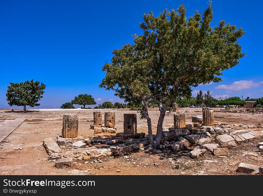 Tree, Sky, Ruins, Plant