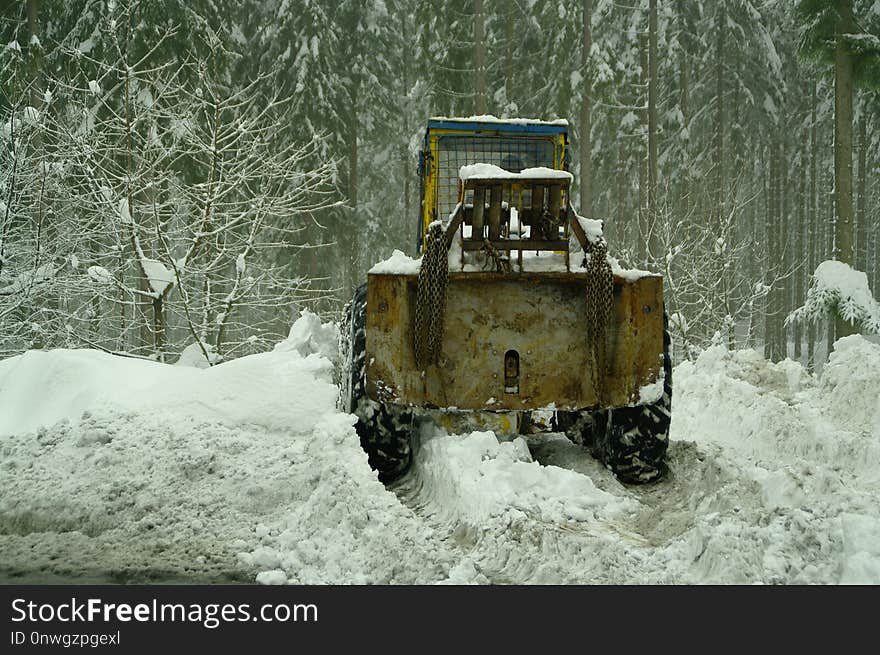 Snow, Motor Vehicle, Winter, Freezing