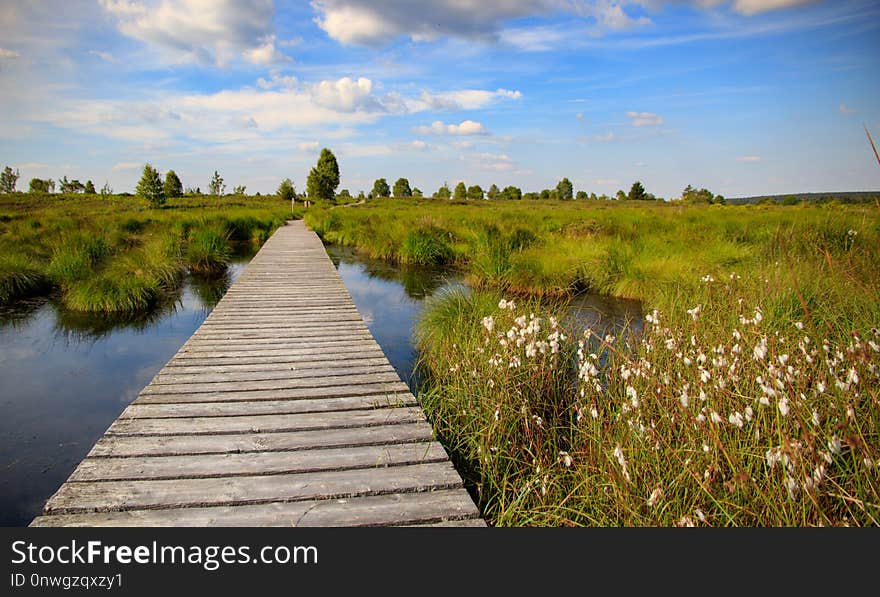 Wetland, Nature Reserve, Waterway, Sky