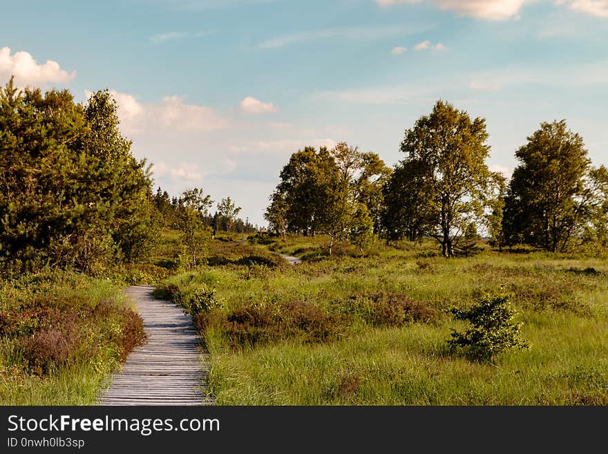 Ecosystem, Sky, Nature Reserve, Vegetation