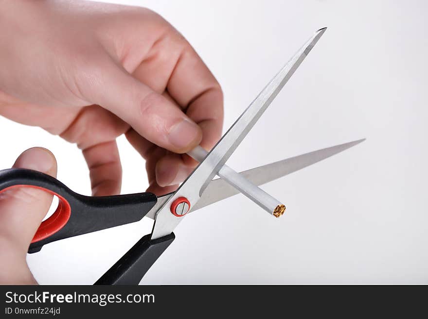 Hands with scissors cutting a cigar on white background