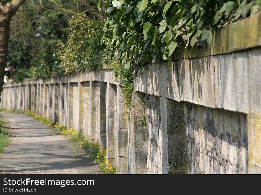 Wall, Fence, Tree, Outdoor Structure