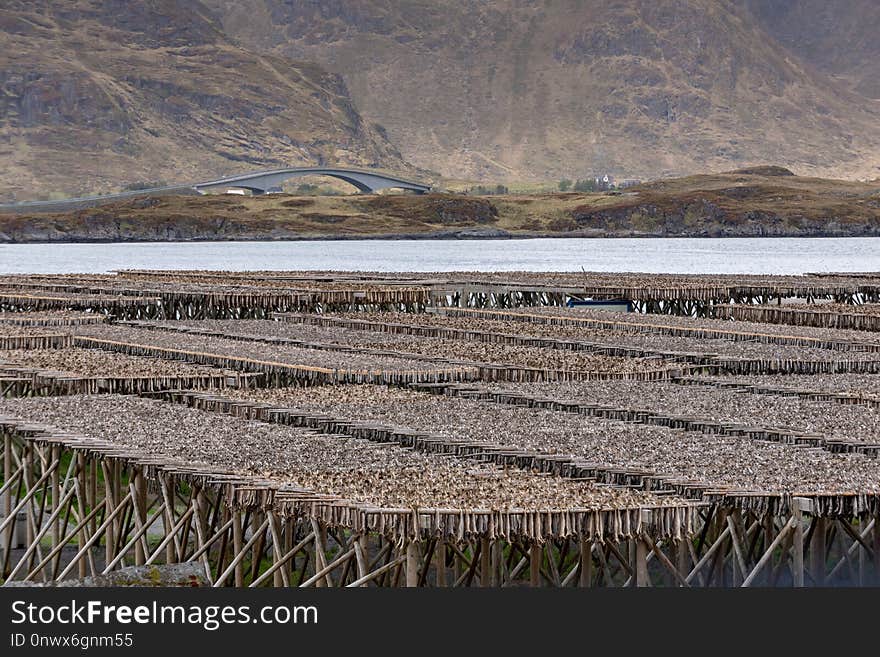 Loch, Wetland, Reservoir, Lake