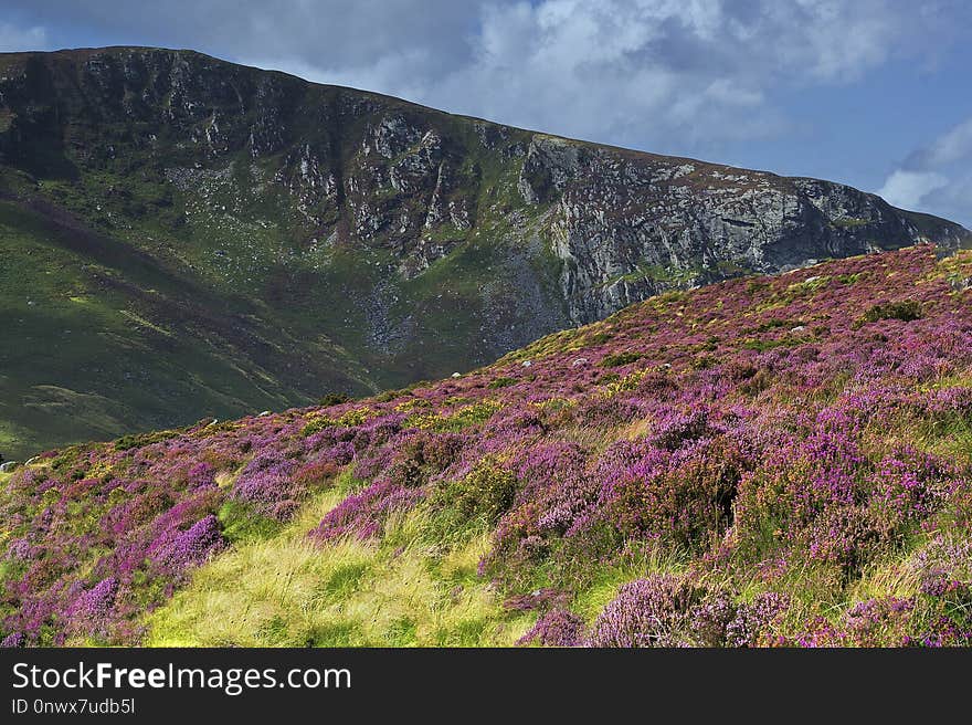 Highland, Chaparral, Vegetation, Wilderness