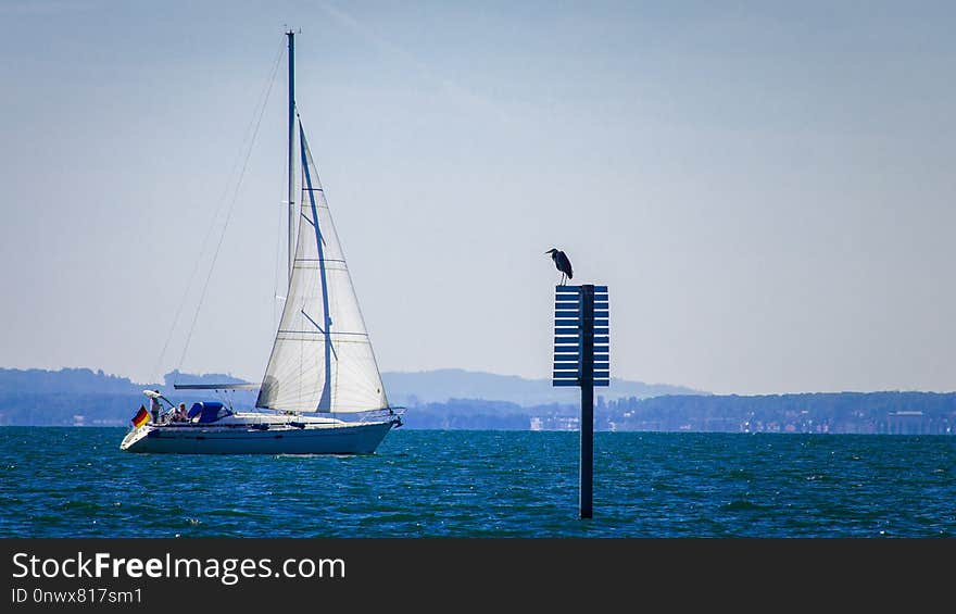 Sail, Water Transportation, Sailboat, Sailing Ship