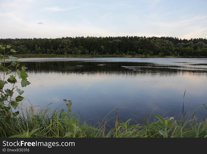 Water, Nature, Reflection, Body Of Water