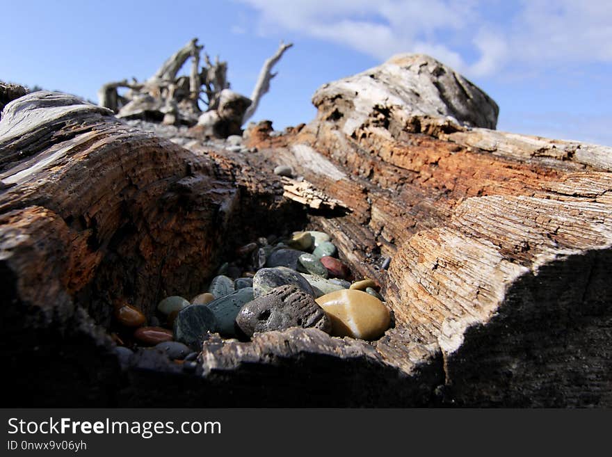 Rock, Geological Phenomenon, Wood, Driftwood