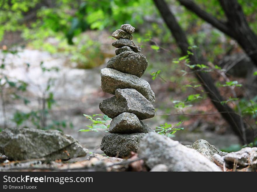 Rock, Tree, Material, Forest