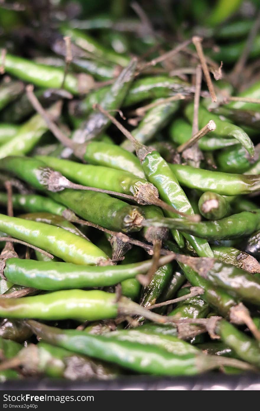 Vegetable, Green Bean, Lima Bean, Edamame