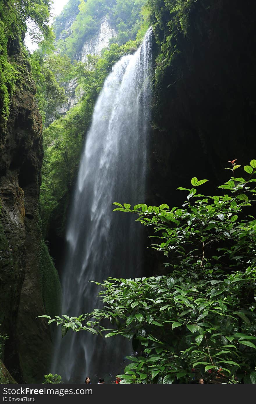 Waterfall, Vegetation, Nature, Water