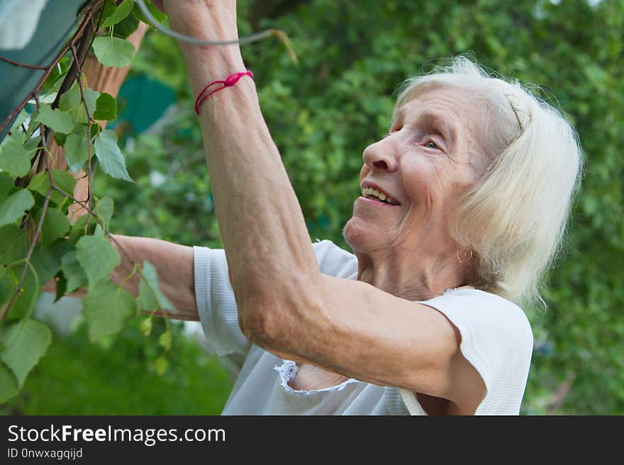 Tree, Senior Citizen, Plant, Girl