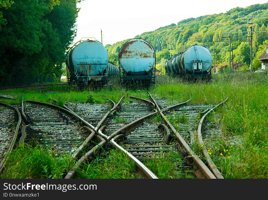 Track, Transport, Rolling Stock, Rural Area