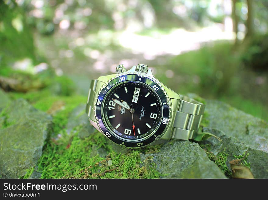 Watch, Photography, Close Up, Grass