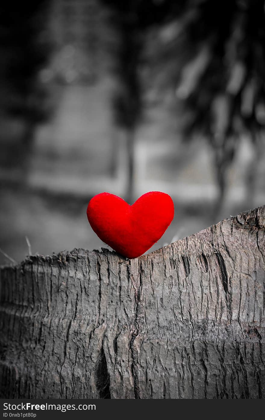 Red heart on the log