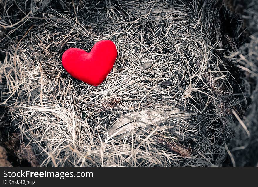 Red heart on the grass with dramatic tone. Red heart on the grass with dramatic tone