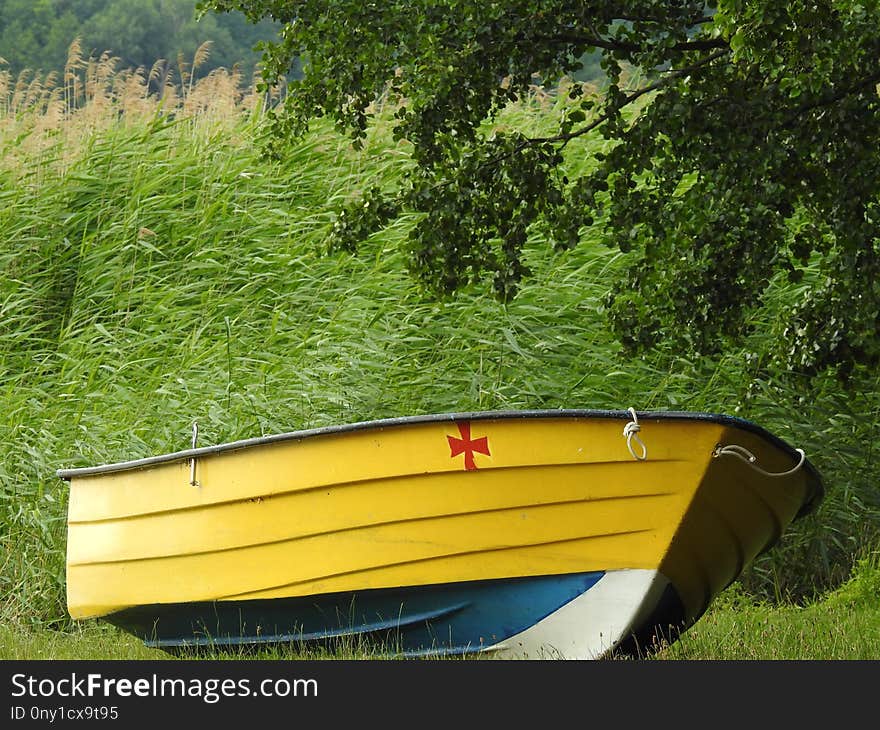 Yellow, Boat, Boats And Boating Equipment And Supplies, Grass