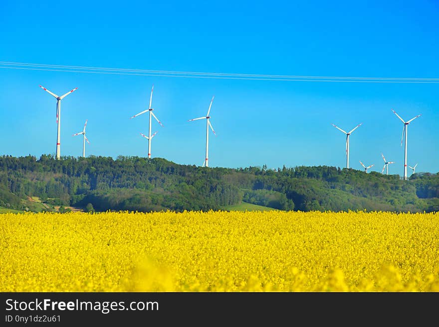 Field, Wind Turbine, Wind Farm, Energy