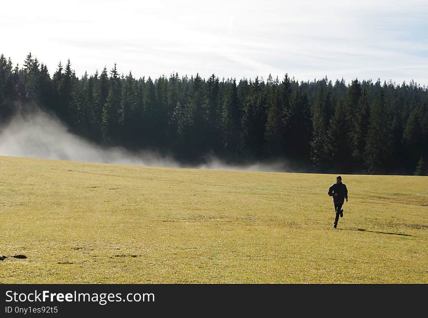 Grassland, Ecosystem, Field, Grass