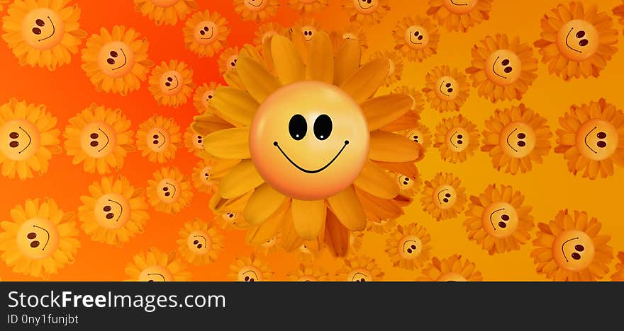 Flower, Sunflower, Yellow, Flowering Plant