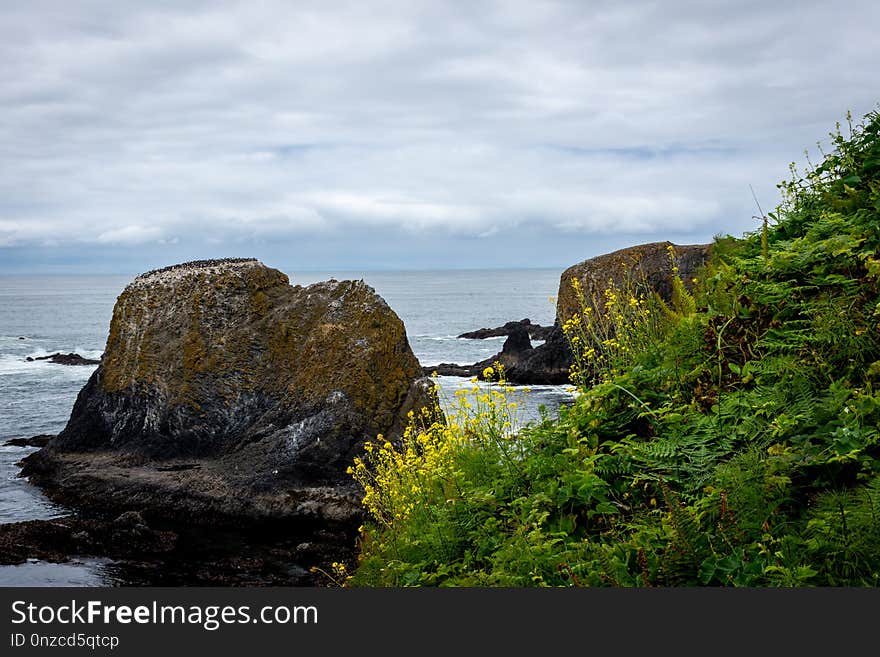 Coast, Headland, Rock, Promontory