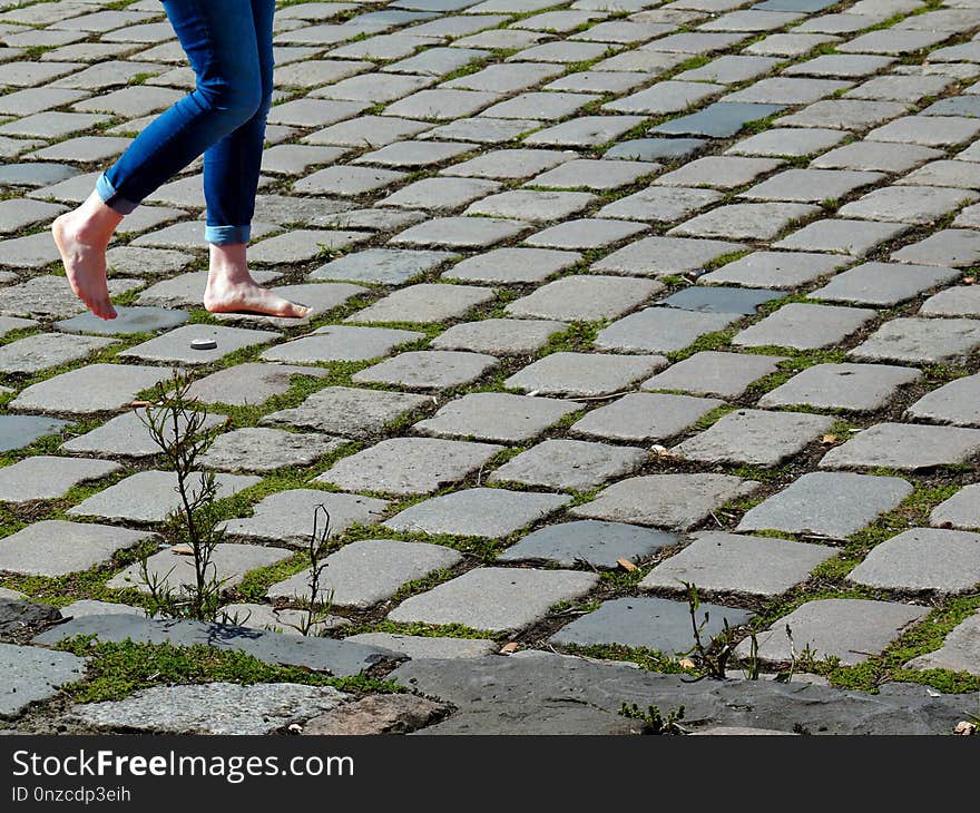 Cobblestone, Grass, Road Surface, Plant