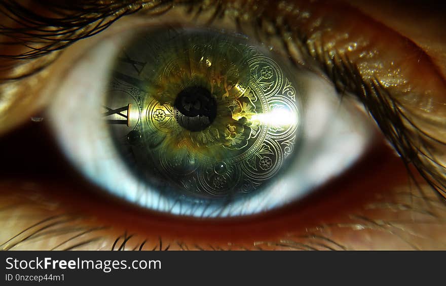 Eye, Eyelash, Macro Photography, Close Up