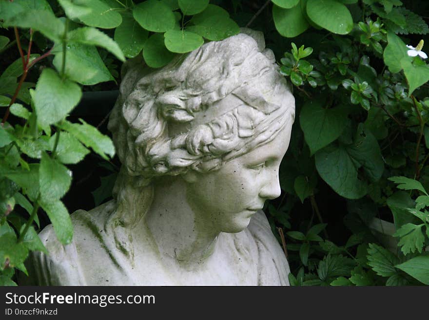 Green, Sculpture, Leaf, Head