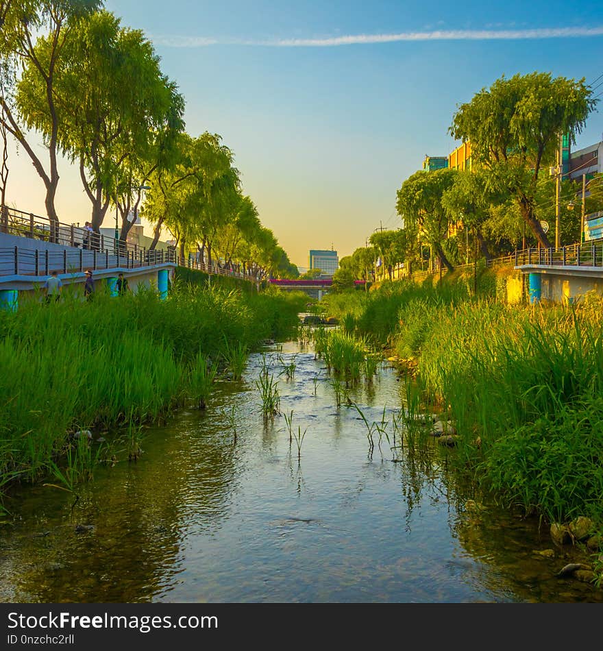 Reflection, Waterway, Water, Nature