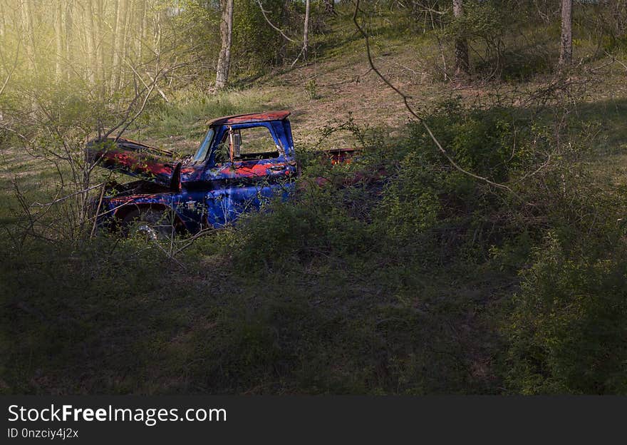 Car, Off Roading, Ecosystem, Vehicle