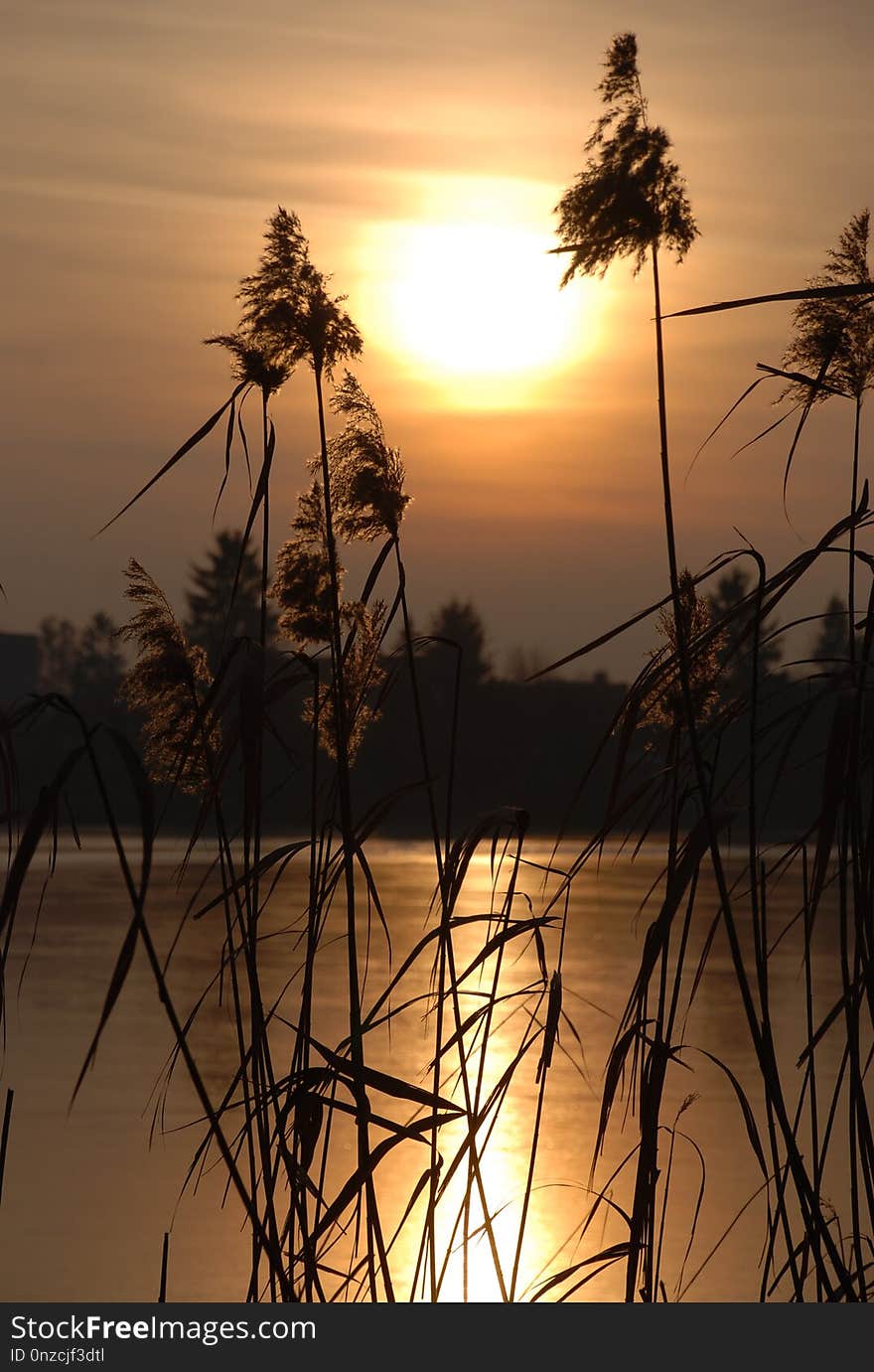 Sky, Sunrise, Sunset, Morning