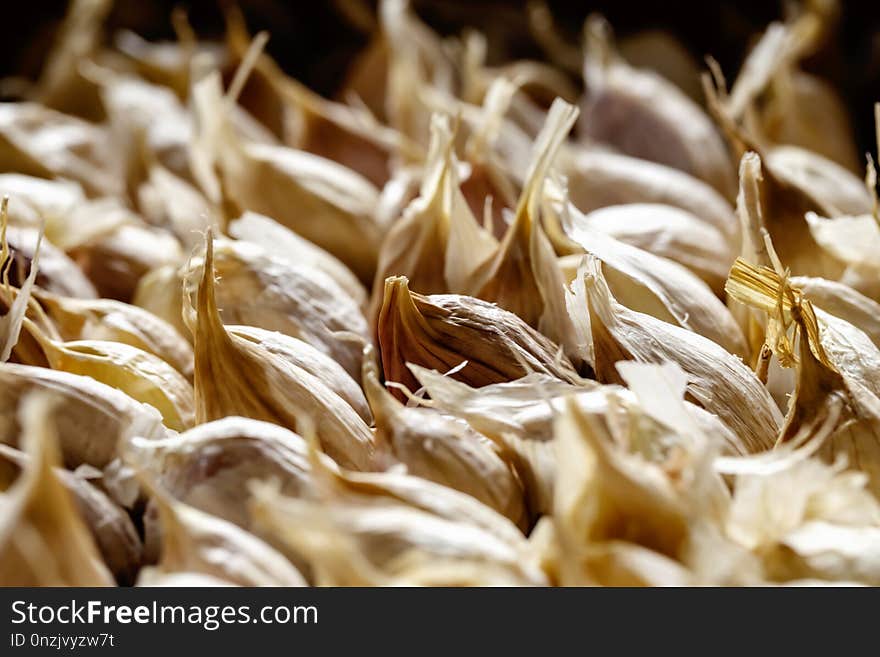 White garlic pile texture. Lots of common fresh garlic close up photo. white garlic heads on display