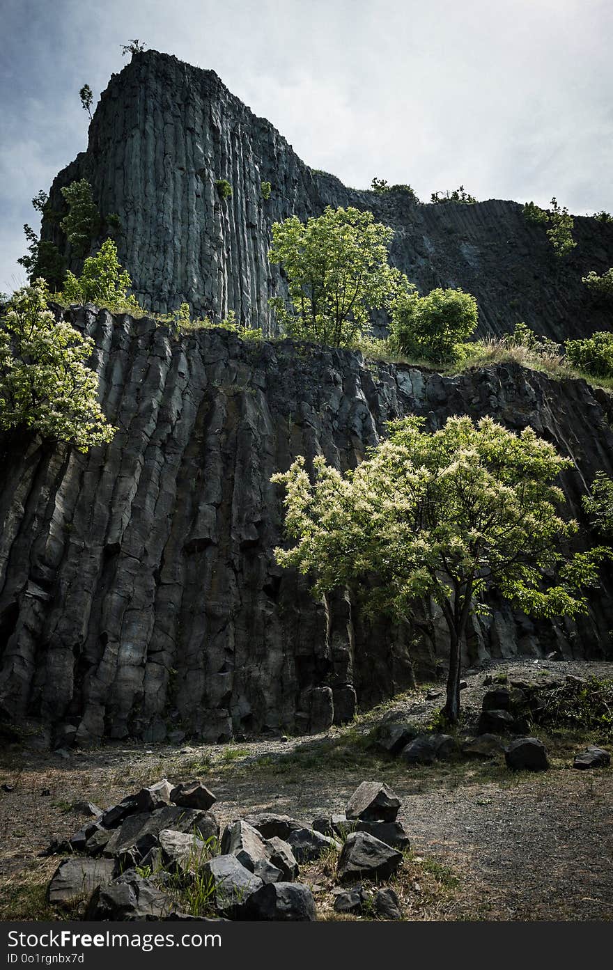 Nature, Vegetation, Tree, Rock