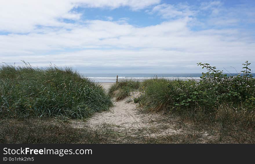 Ecosystem, Sky, Vegetation, Shrubland