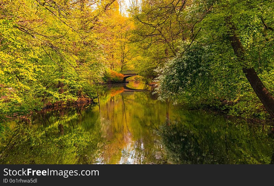 Reflection, Nature, Water, Waterway