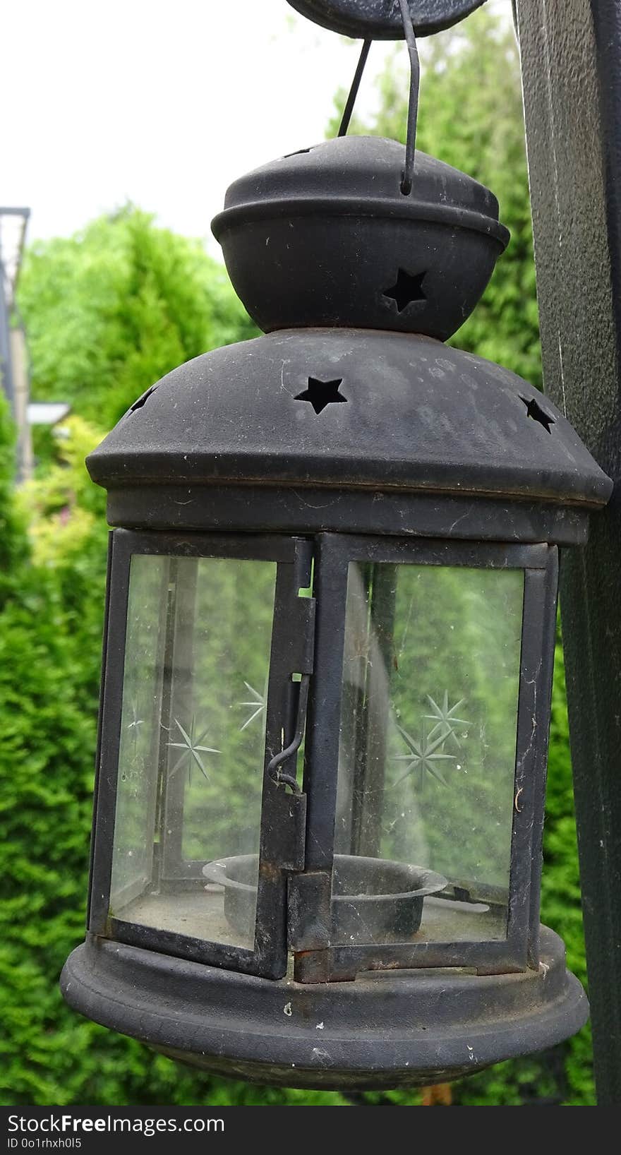 Lighting, Bird Feeder, Light Fixture