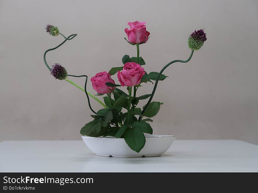 Flower, Vase, Ikebana, Flowerpot