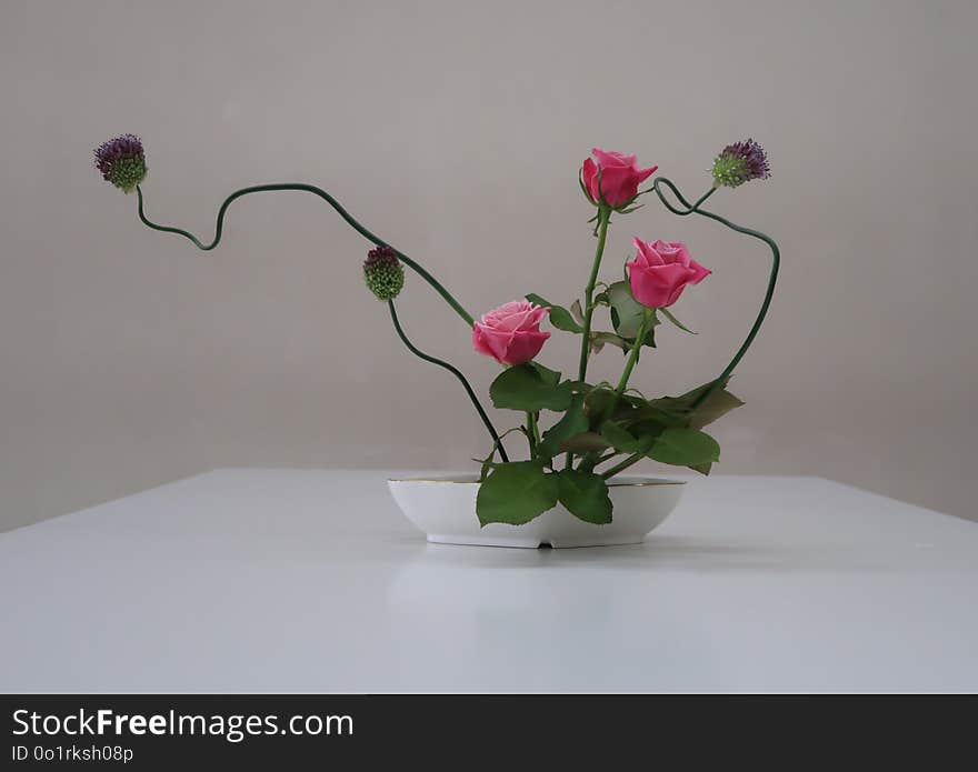 Flower, Ikebana, Vase, Flowerpot