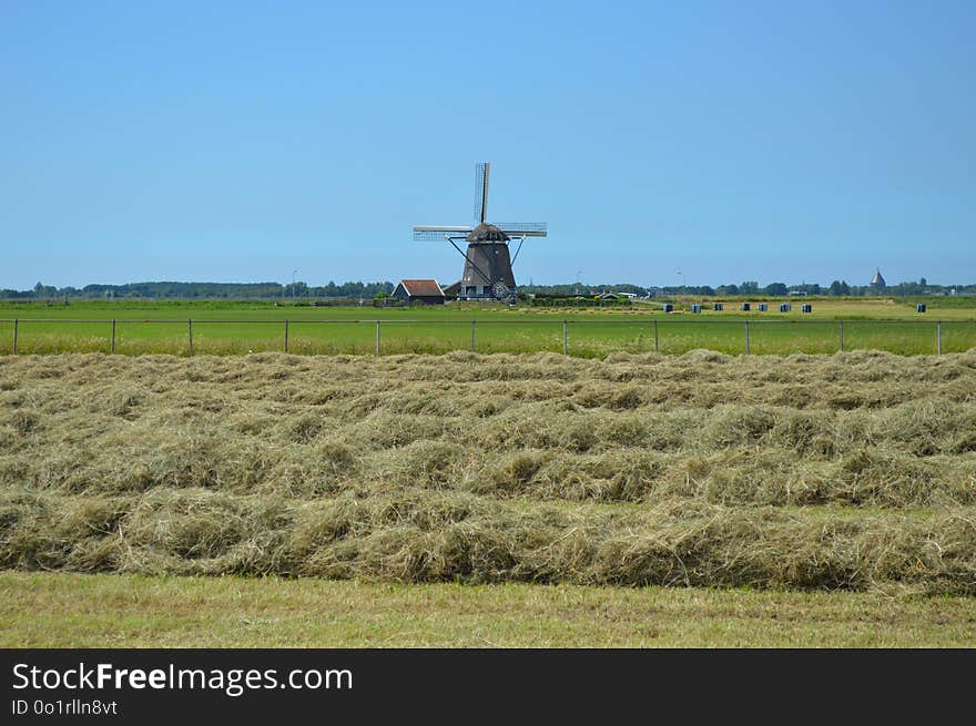 Windmill, Grassland, Field, Grass Family