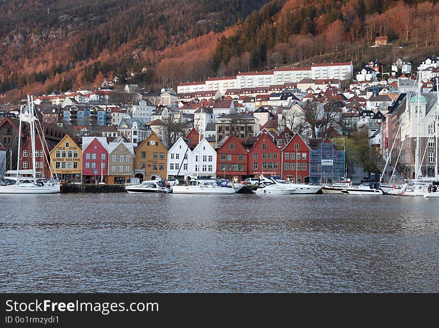 Water, Winter, Harbor, Snow