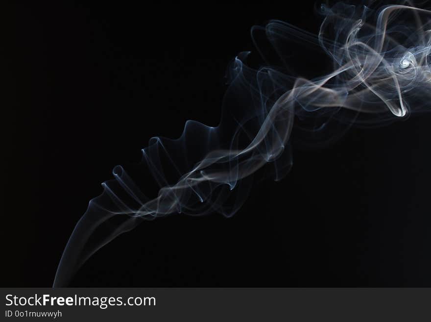 Smoke, Organism, Computer Wallpaper, Darkness