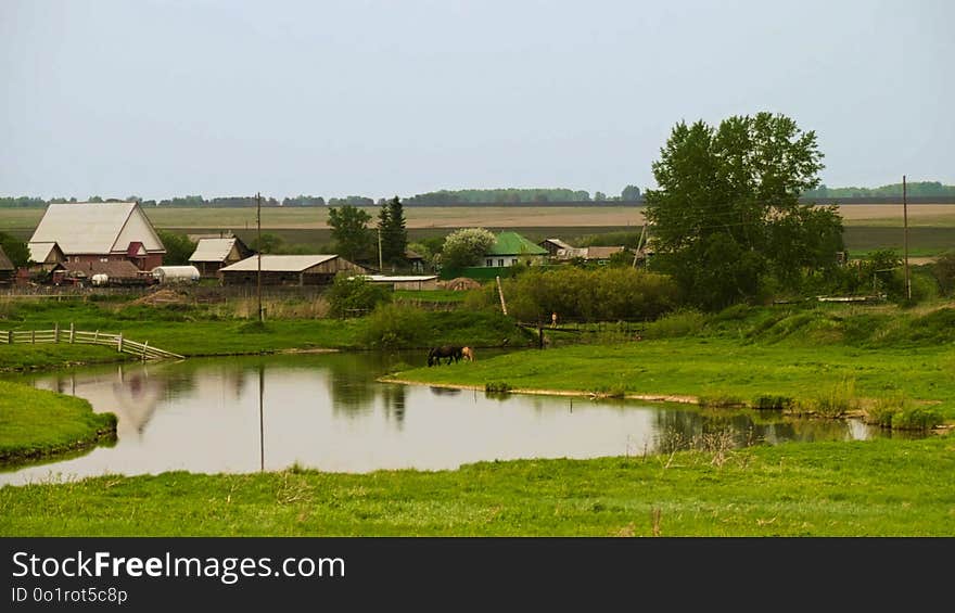 Pasture, Farm, Nature Reserve, Grassland