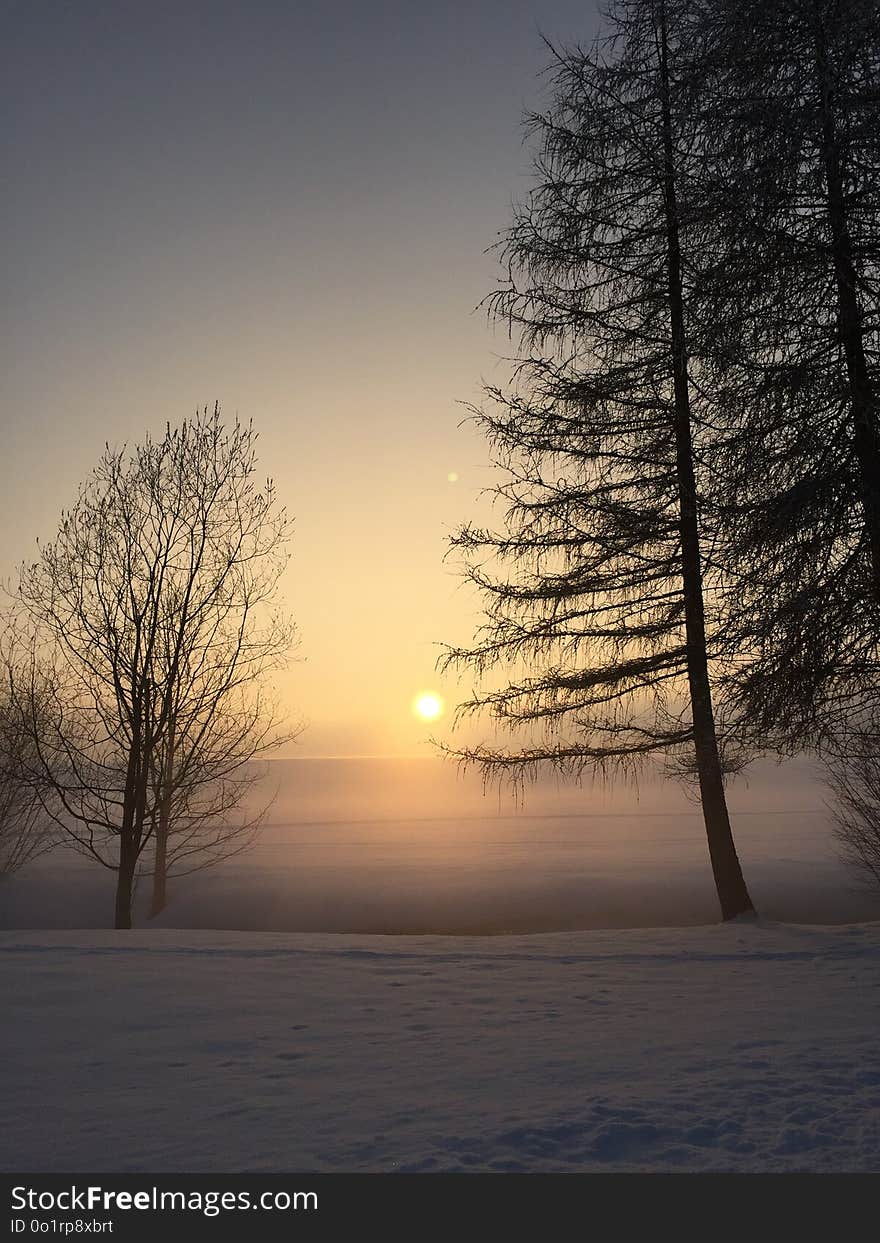 Winter, Sky, Nature, Snow